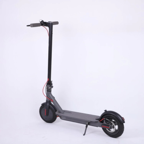 Foldable scooter for best sale adults